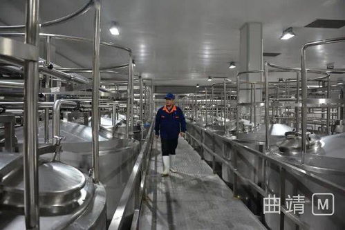 陸良2.8億投資項目順利進入試生產階段，區域經濟迎來發展新動能